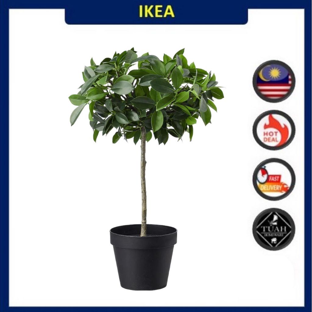 IKEA FEJKA Artificial Potted Plant Weeping Fig Stem (12 cm) Shopee