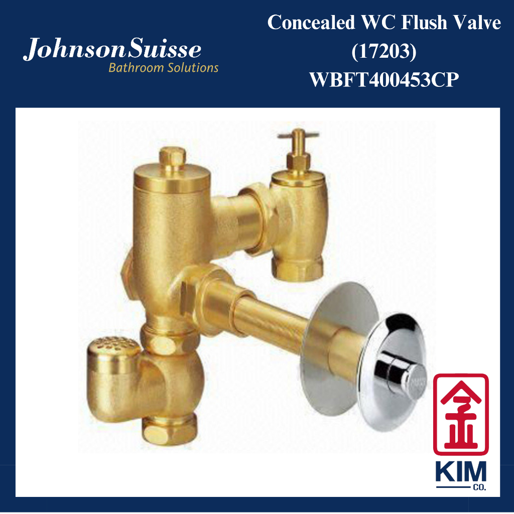 Johnson Suisse Concealed Wc Flush Valve Toilet Valve Peralatan Bilik Mandi (WBFT400453CP