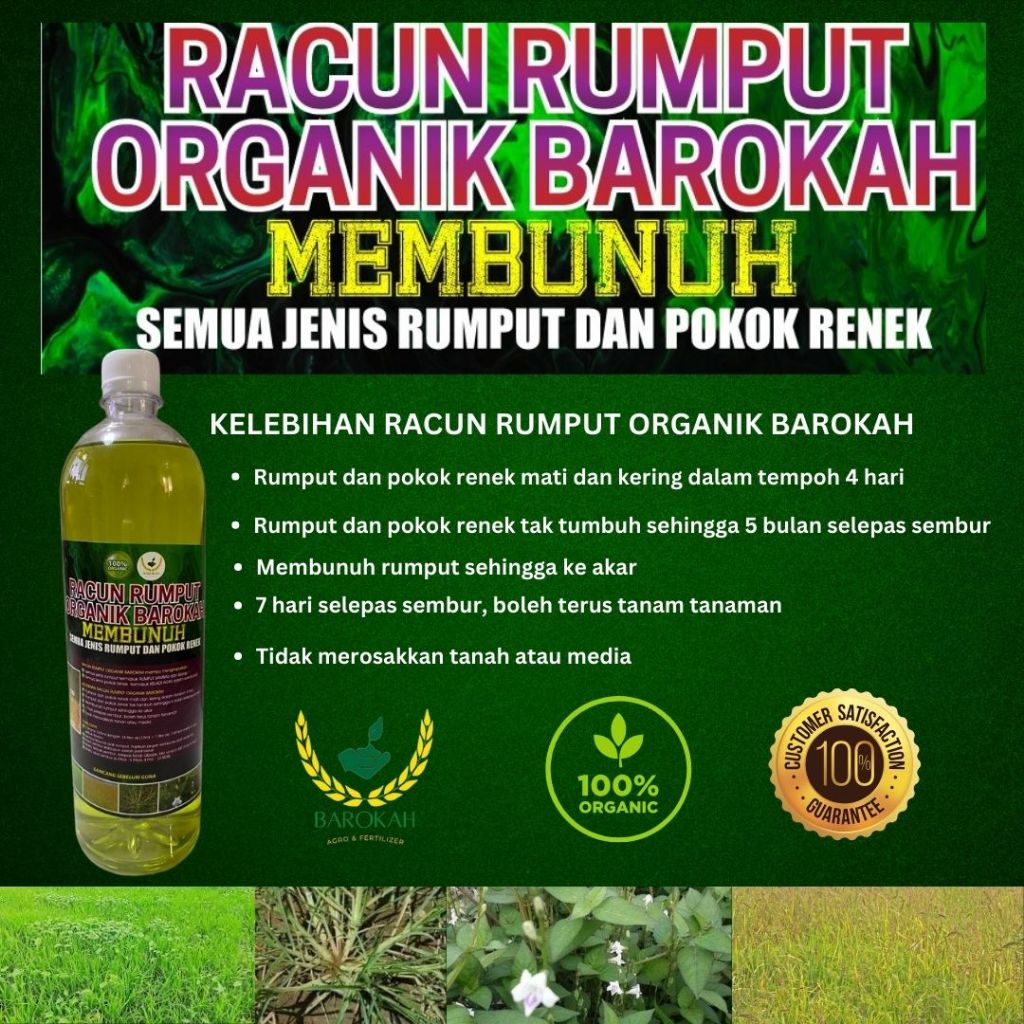 1 LITER RACUN RUMPUT ORGANIK BAROKAH TAHAN 6 BULAN RUMPUT TAK TUMBUH ...