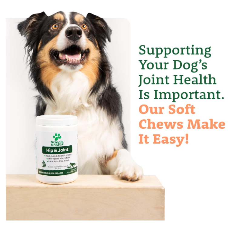 Doggie Dailies Glucosamine for Dogs 225 Chews Advanced Joint Supplement for Dogs with Chondroitin MSM Hyaluronic A Shopee Malaysia