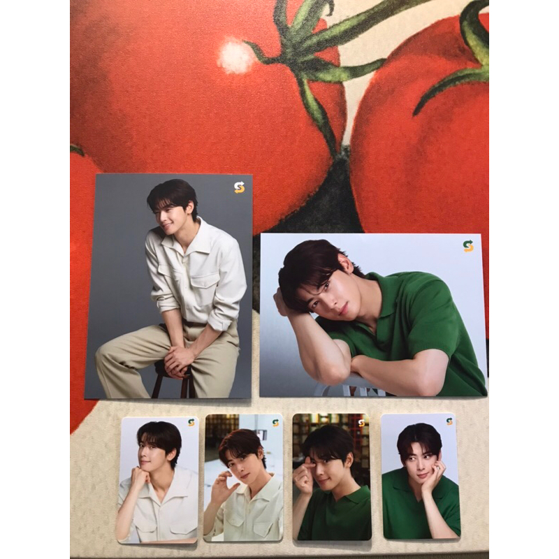 CHA EUN WOO PHOTOCARD - FULL SET | Shopee Malaysia