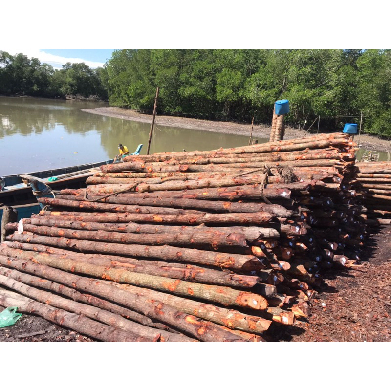 Pembekal Kayu Bakau Bakau Wood Mangrove Wood Shopee Malaysia 3216