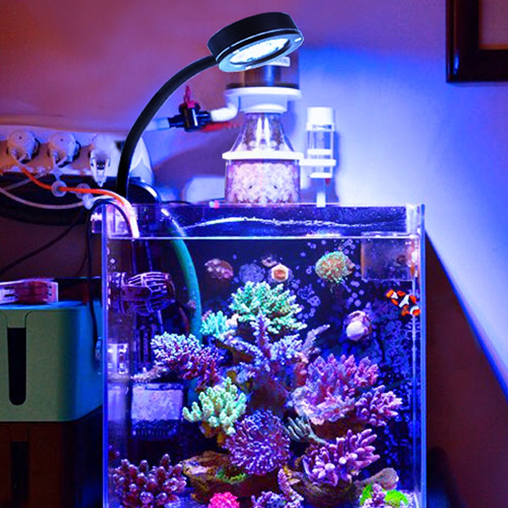 Photo inspiration: Picture Idea: Marine Aquarium Led Light Coral Sps Lps Aquarium Sea Reef