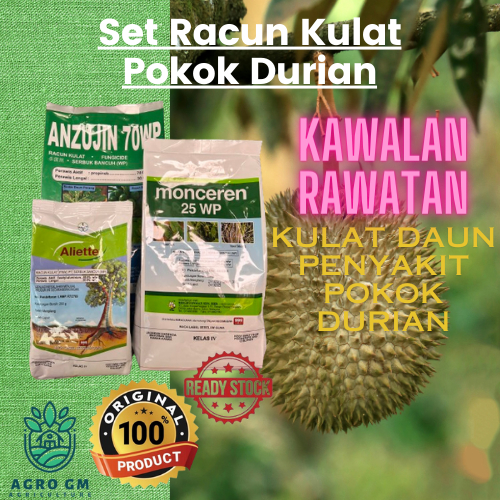 MONCEREN ANTRACOL ANZUJIN ALIETTE LINOTYL Set Racun Kulat Pokok Durian ...