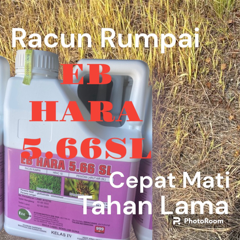 .4lit. / Racun EB Hara5.66 / Racun Rumpai / Racun Rumput Mati Tahan ...
