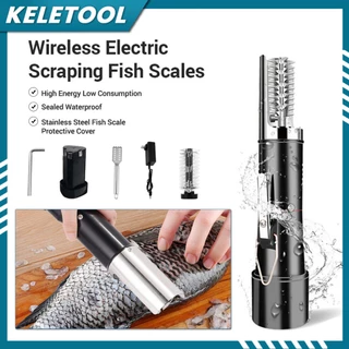 fish scale - Prices and Promotions - Apr 2024