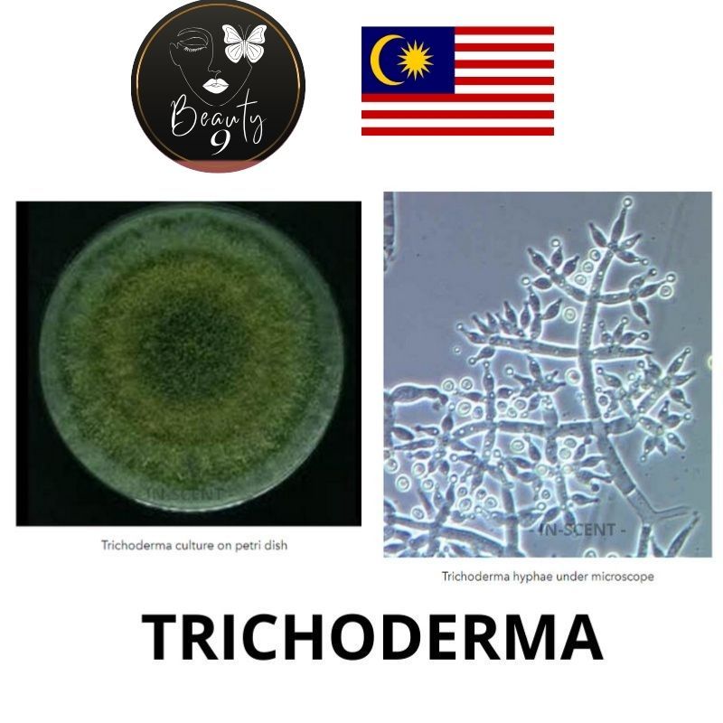 Trichoderma Harzianum T-22 5 billion/gram Made In Malaysia | Shopee ...