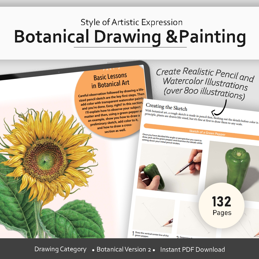 [ PDF ] Drawing - Botanical Drawing and Painting (Over 800 ...