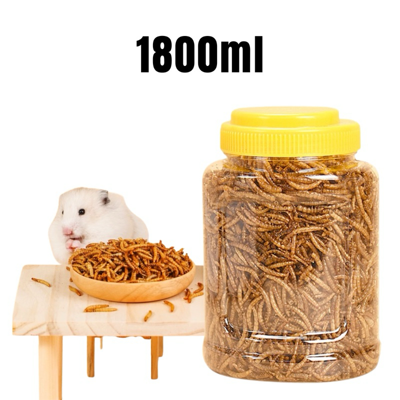 Dried Mealworm 2000ml 500ml Protein food Mealworm NonGMO Treats
