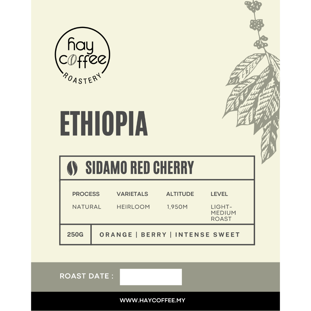 Ethiopia Sidamo Red Cherry - Light-Medium roast | Shopee Malaysia