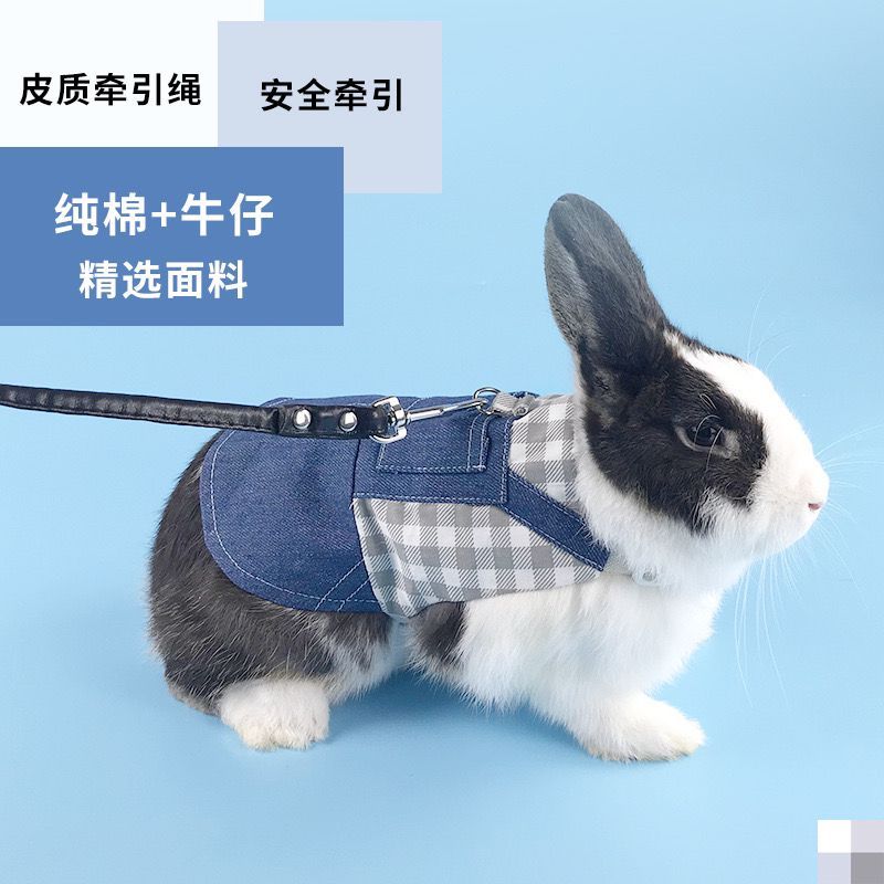 Nylon Traction Clothes Rabbit Rope Chest Strap Pet Harness Leash Cat ...