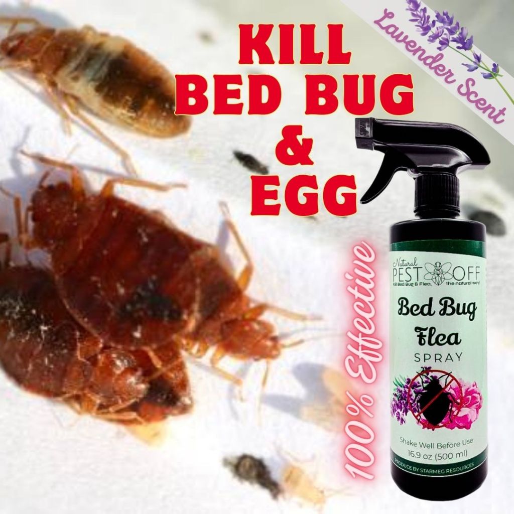 PestOff Bed Bug Flea Spray Kill Bed Bug Bunuh Pepijat Fast-Acting Hapus ...