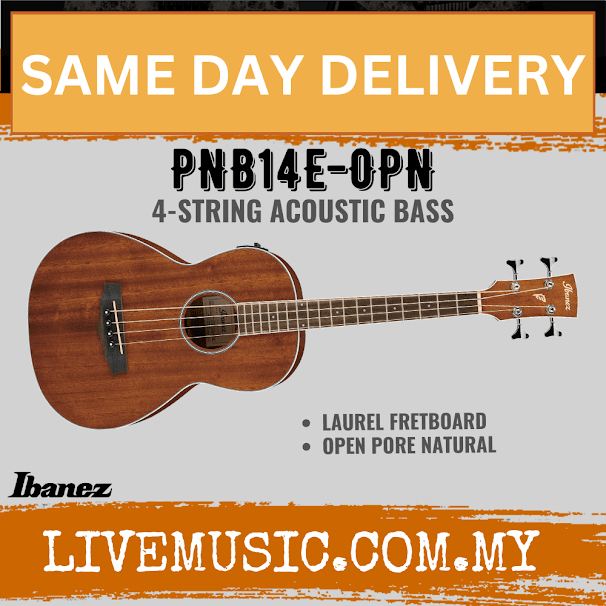 Ibanez PNB14E AcousticElectric Bass Parlor Body Open Pore Natural