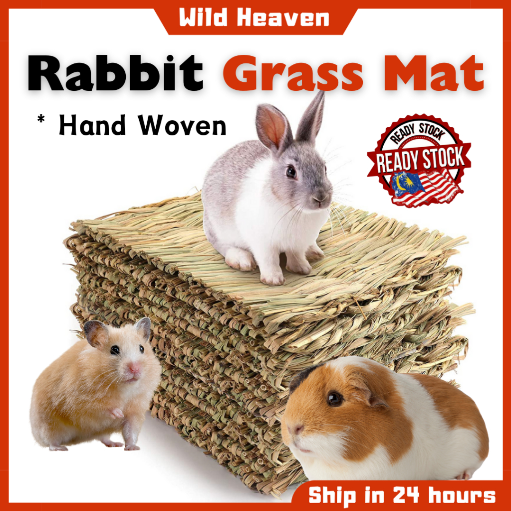 Handmade Natural Rabbit Grass Chew Mat Small Animal Hamster Guinea Pig ...