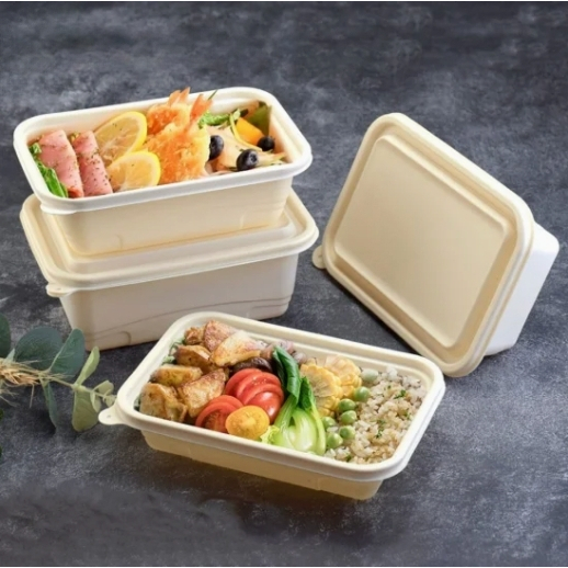 ECO-FRIENDLY CORNSTARCH FOOD PACKAGING LUNCH BOX (50pcs) | Shopee Malaysia