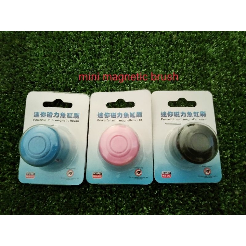 CLEAR STOCK Small baby Mini Magnetic Cleaner Remove Algae on Glass ...
