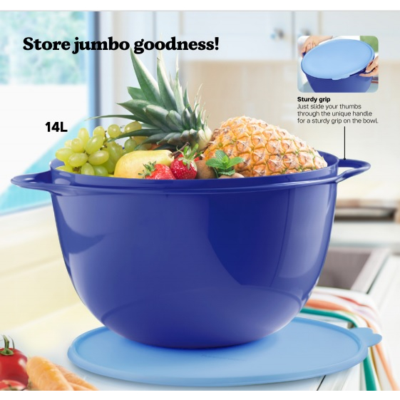 Tupperware Thatsa Bowl 14 Liter