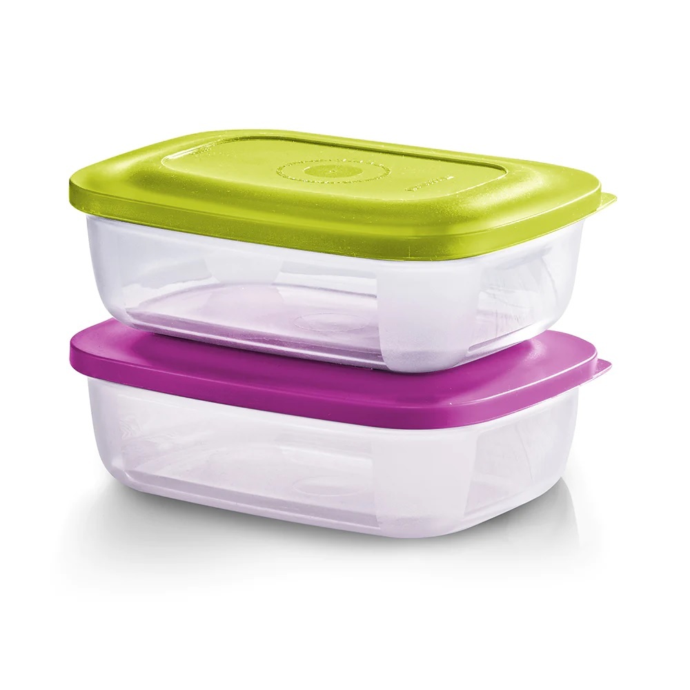 Tupperware Small Rectangular Saver 500ml | Shopee Malaysia