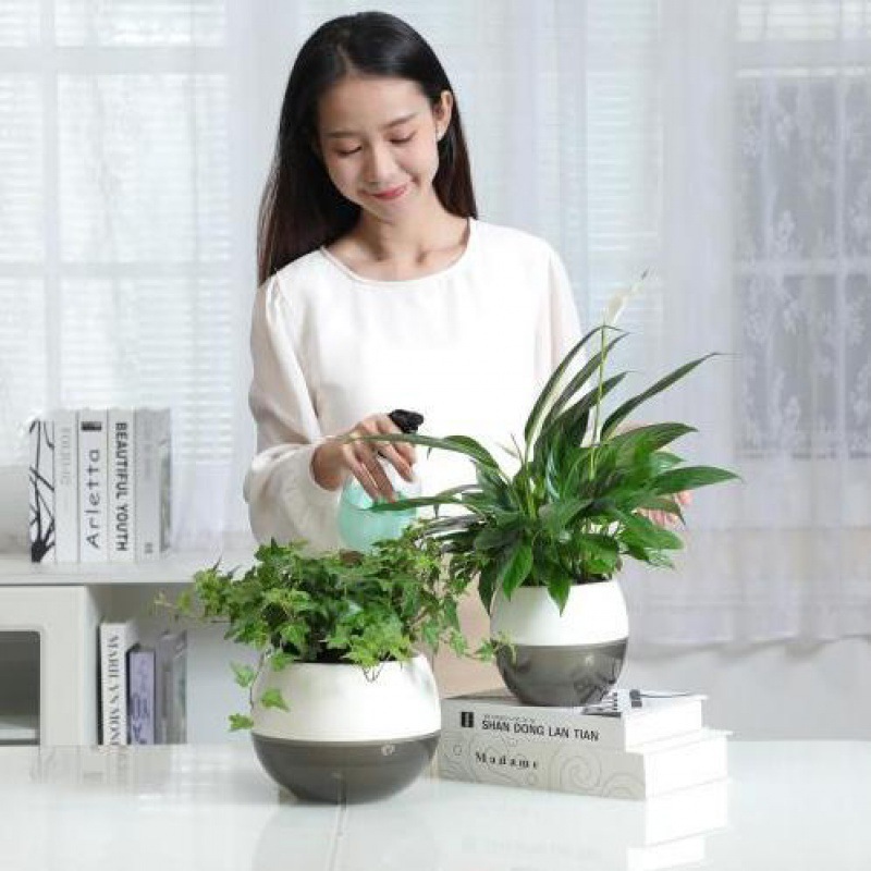 6 Inch Large Semi Transparent & Frosting color Self Watering Indoor PP ...