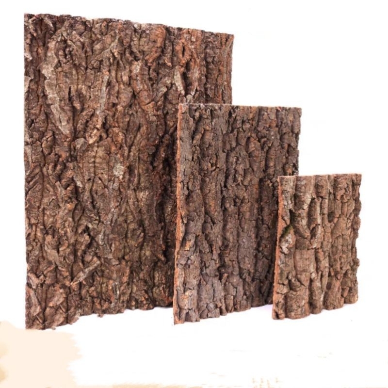 Cork Bark, terrarium, vivarium, reptiles home, insert, airplant, paludarium Shopee Malaysia