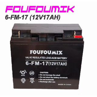 6-FM-17 6 FM 17 BATTERY ( 12V17AH ) Solar and wind energy storage ...