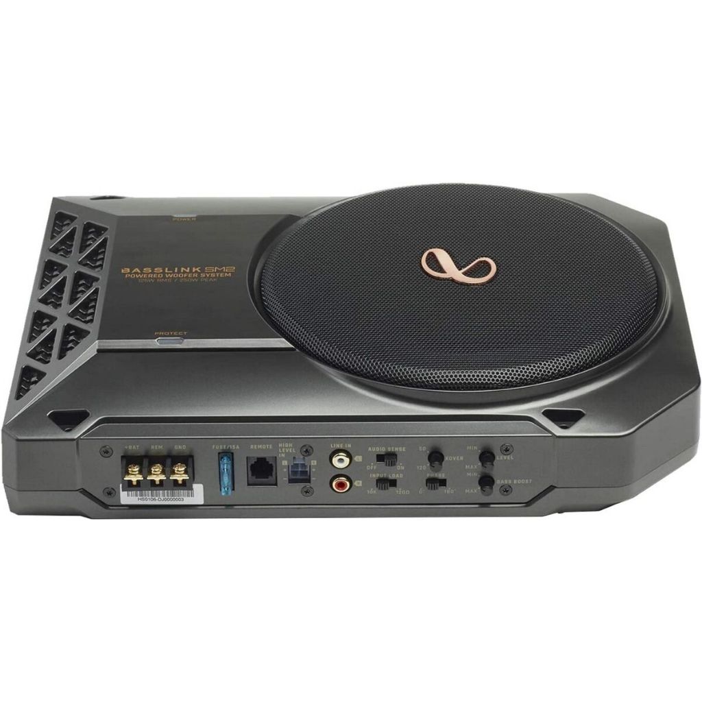 INFINITY BASSLINK SM2 8