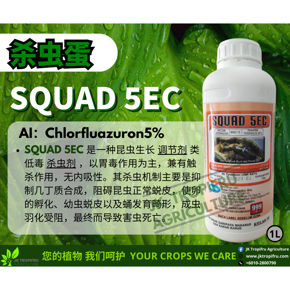Squad 5EC (1L) Racun Serangga Perosak/Pesticides/农药 Shopee Malaysia