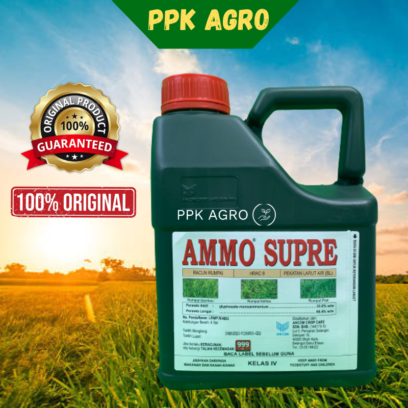 4L AMMO SUPRE (Glyphosate Monoammonium 33.6%) RACUN RUMPAI RUMPUT ...