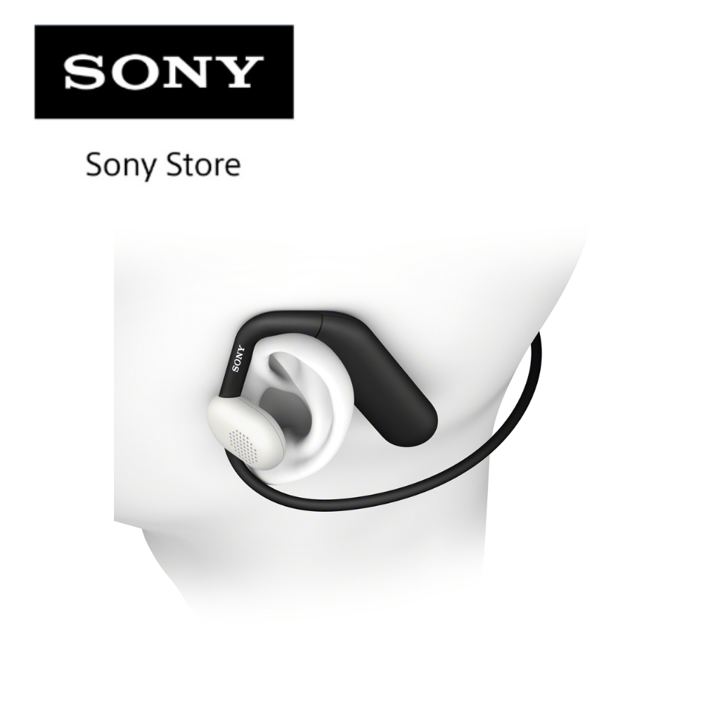 SONY Float Run 装着イメージ
