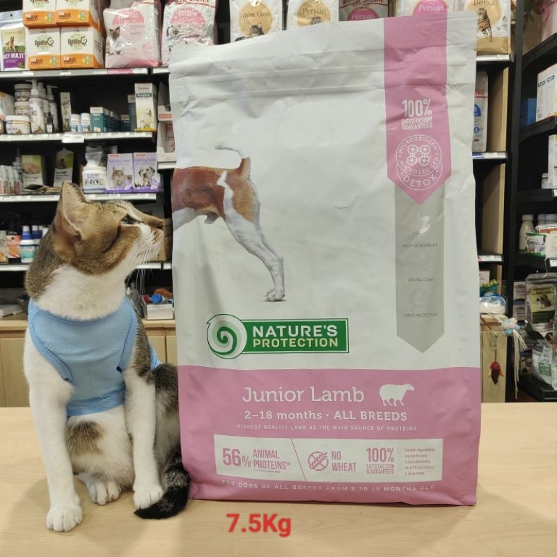 Nature's Protection 7.5Kg Mini Adult Lamb/Mini Extra Salmon/Mini Adult ...
