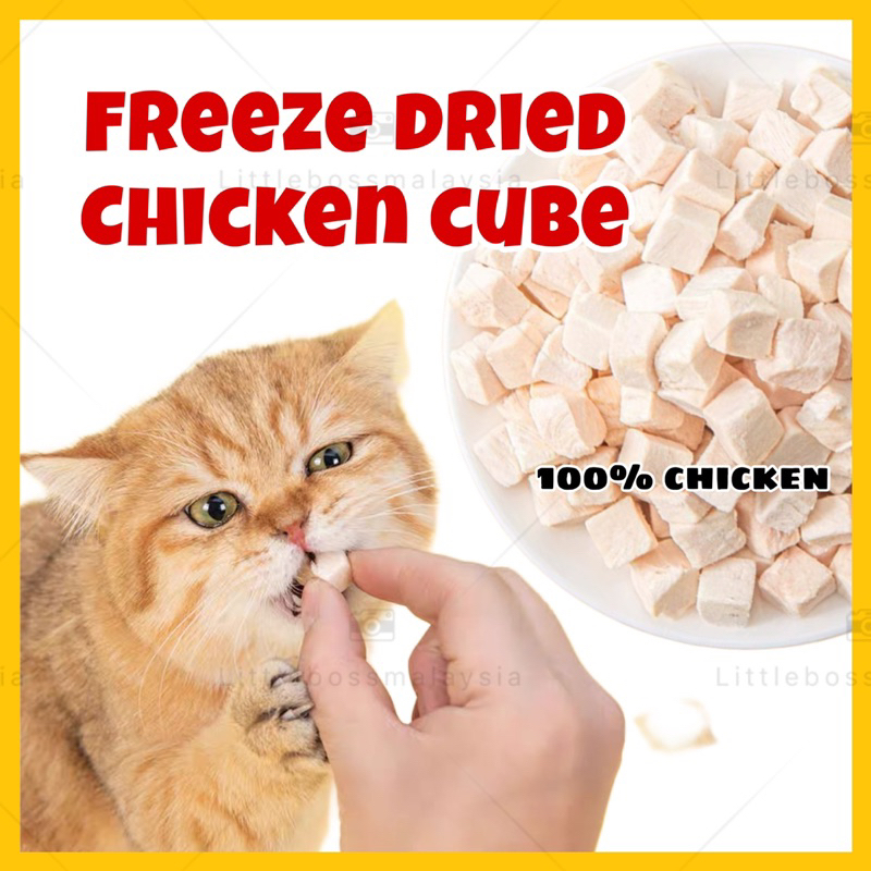 Freeze Dried Chicken Cube/ Freeze Dried Cat Food/ Makanan Kucing/ Snack ...