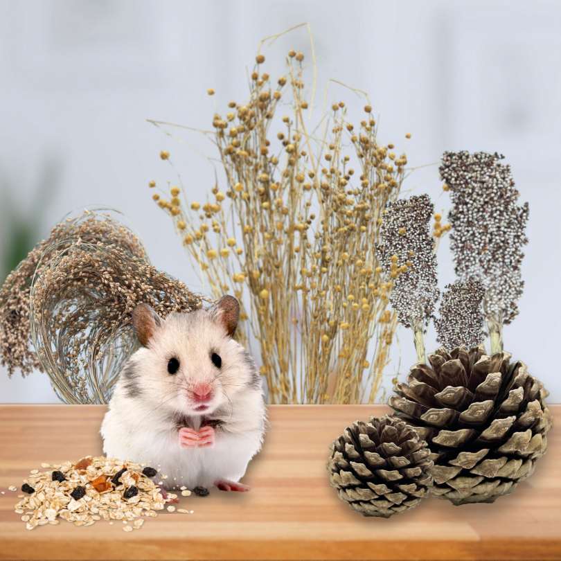 Hamster Spray Millet, Flaxseed Shopee Malaysia