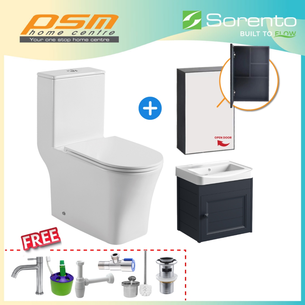 SORENTO One Piece Water Closet Rimless System Bathroom Stainless Steel ...