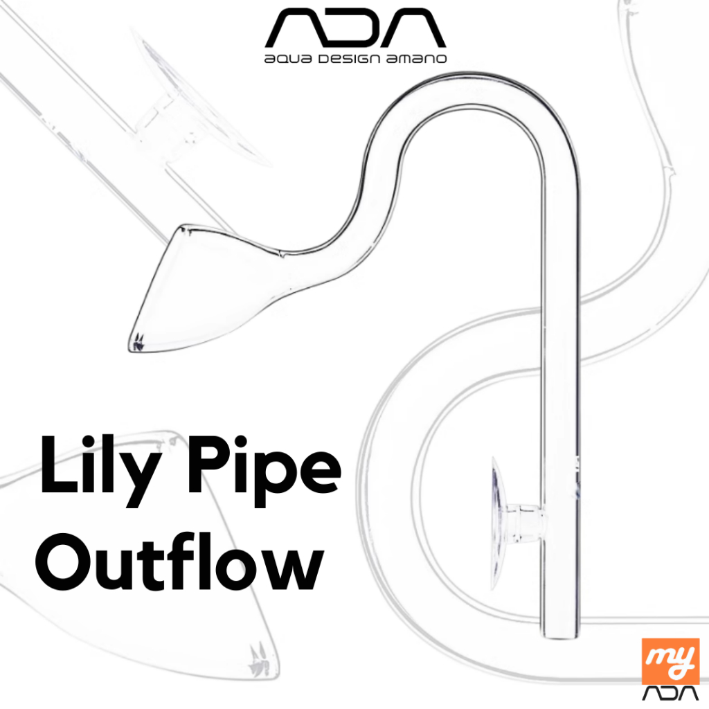 ADA Lily Pipe Outflow 10mm 13mm 17mm Glass Lily Pipe for Aquariums