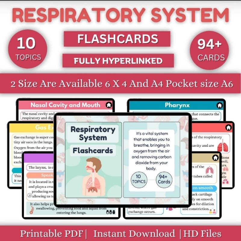 Respiratory System Flashcards Shopee Malaysia