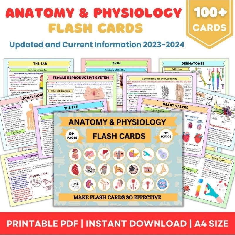 ANATOMY &amp; PHYSIOLOGY FLASH CARDS 101+PAGES | Shopee Malaysia