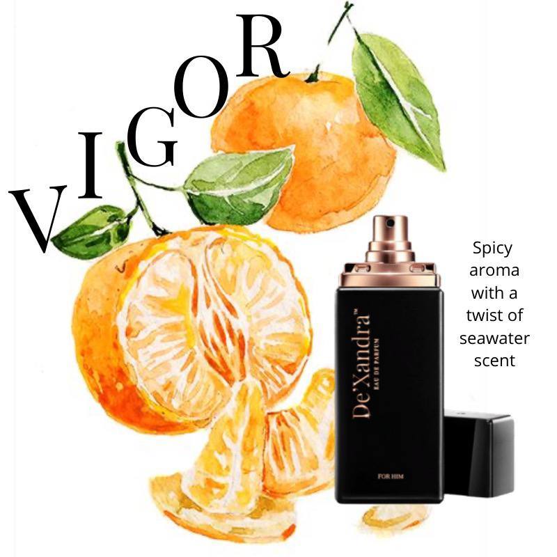 💯 ORIGINAL WITH BARCODE🔥FREE TESTER🔥DEXANDRA VIGOR _PERFUME_35ML