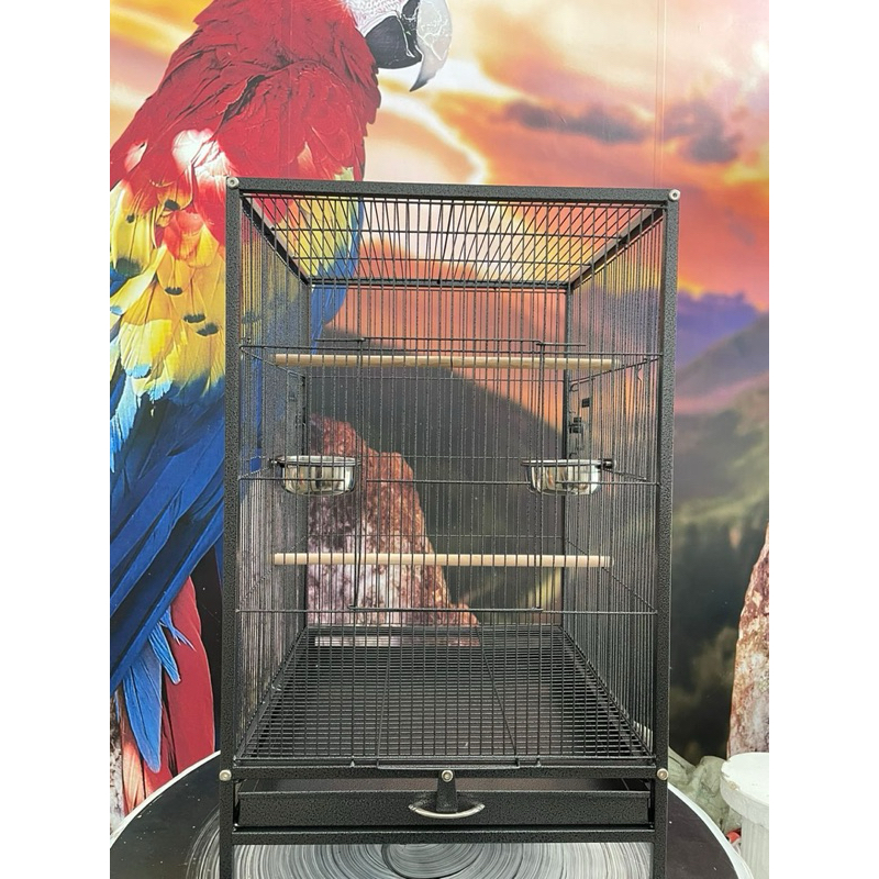 Curated visual reference: Picture Idea: Cage For Medium Size Parrots Sun Conure Green Cheeck Ringneck
