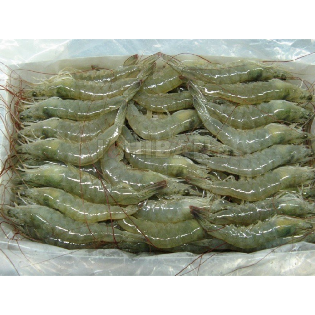 White Prawn Vannamei Hoso 41/50 650G | Shopee Malaysia