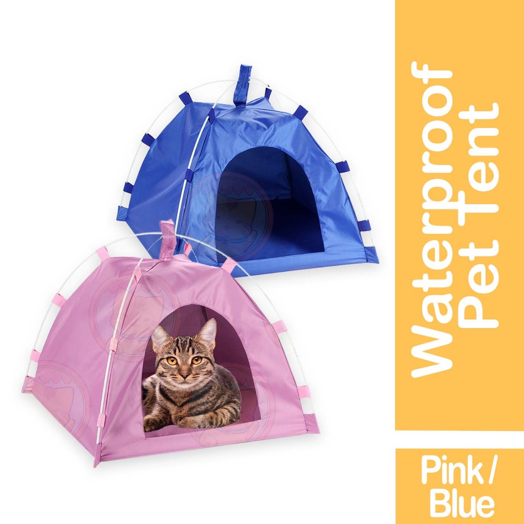 Adventure tent cat best sale