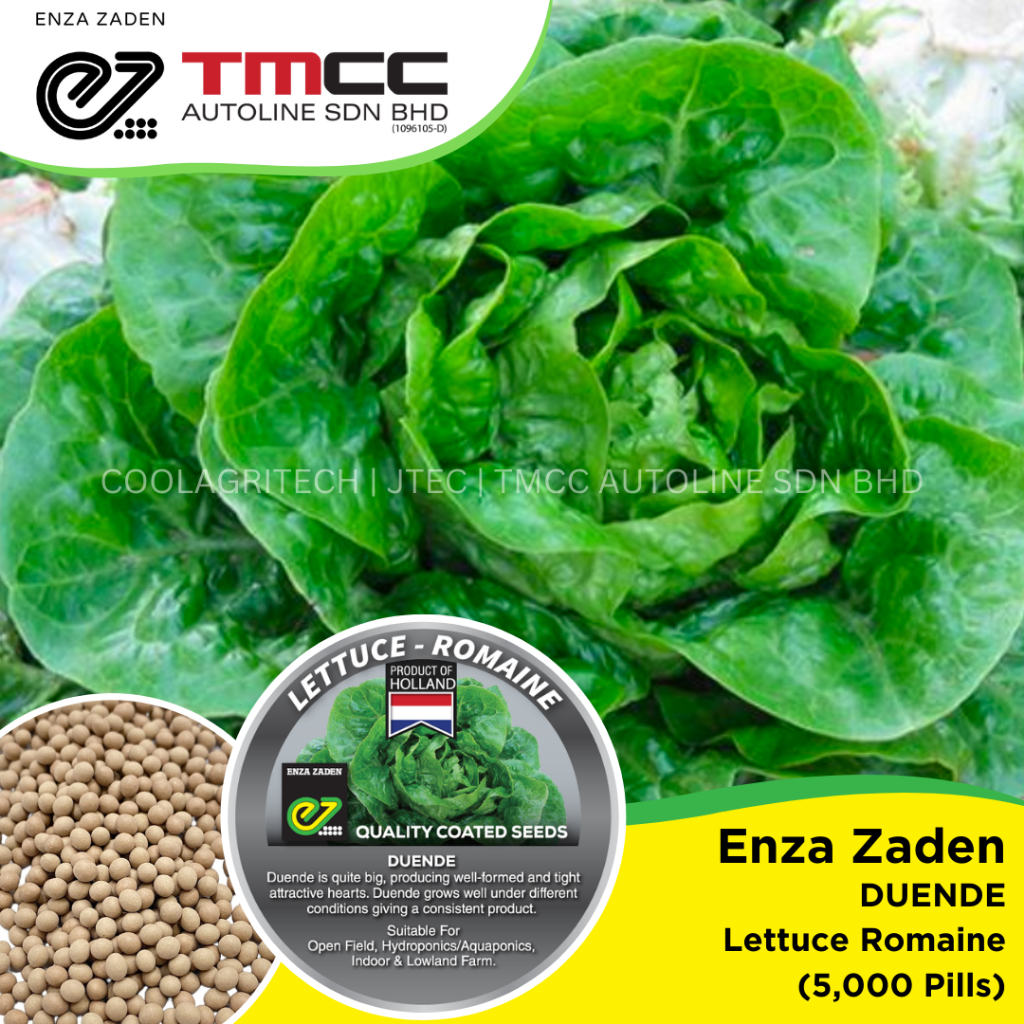 Enza Zaden Duende Romaine Lettuce Coated Pill Seeds A Quality Product Of Holland 5 4758