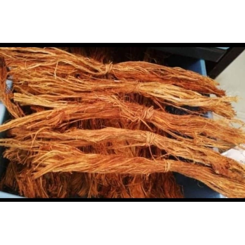 Akar Sintok - 1 ikat | Shopee Malaysia