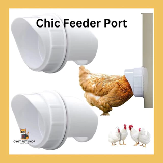 10pcs Automatic Chicken Poultry Chick Hen Drinker Waterer Durable Food  Feeder Water Bucket Convenient Farming Feeding Equipment(5L) : :  Garden & Outdoors