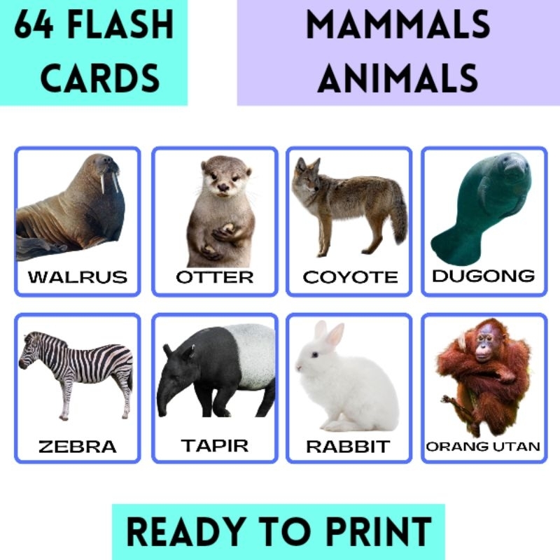 PDF 64 Flashcards Mammals Animals Flashcards Preschool Children ...