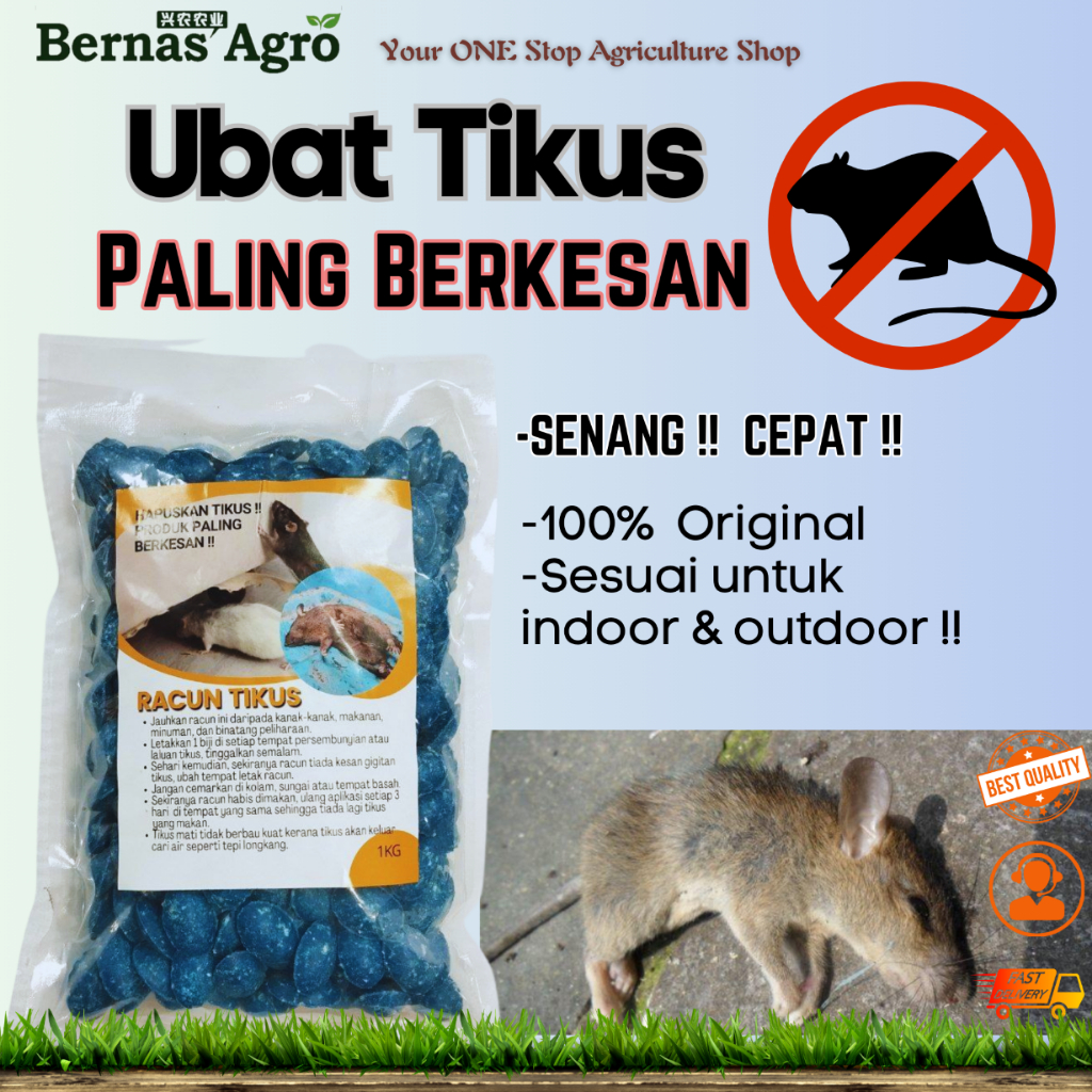 Racun Ubat Tikus Paling Berkesan Storm Basf Biru Rat Bait Poison Ubat