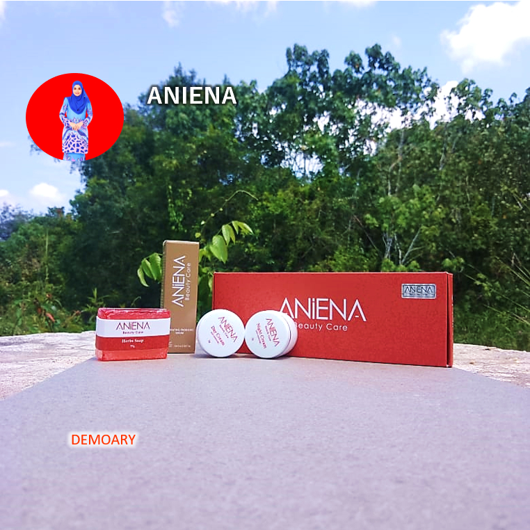 Aniena Skincare Set 3 In 1 & Loose Cream - Krim Malam , Siang , Sabun 