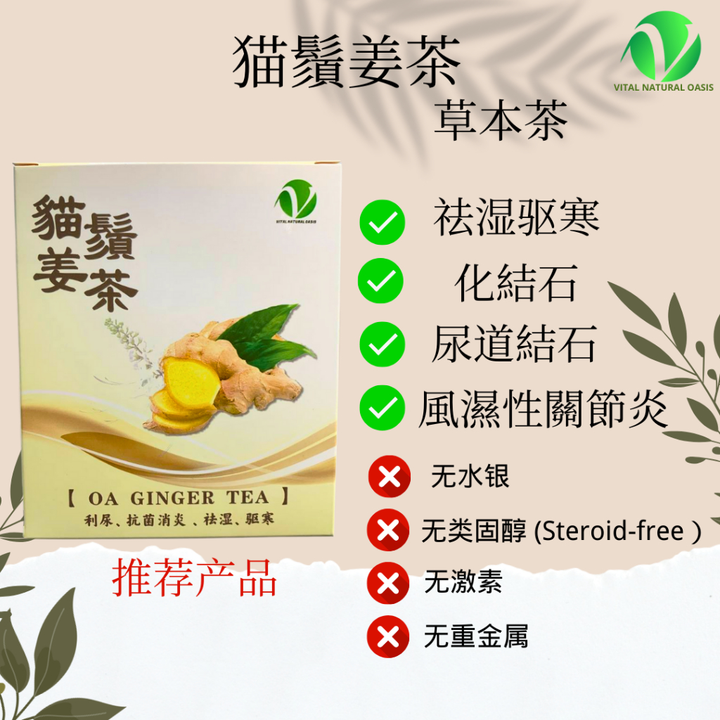 [祛湿驱寒/感冒/尿道結石/利尿] 貓鬚姜茶 OA GINGER TEA [Diuretic/Dampnessremoving and Colddispelling Shopee