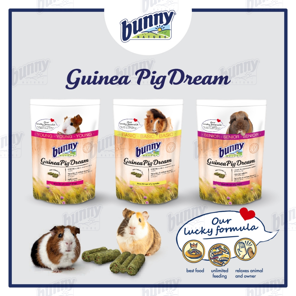 Photo inspiration: Visual Reference: 𝐁𝐮𝐧𝐧𝐲𝐍𝐚𝐭𝐮𝐫𝐞 Guinea Pig Dream