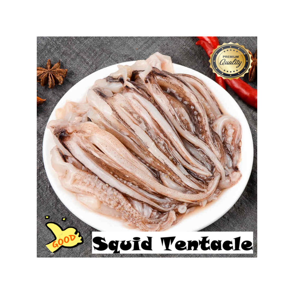 Squid Tentacle Block/ Kaki Sotong block/Frozen Seafood kaki sotong/1KG ...
