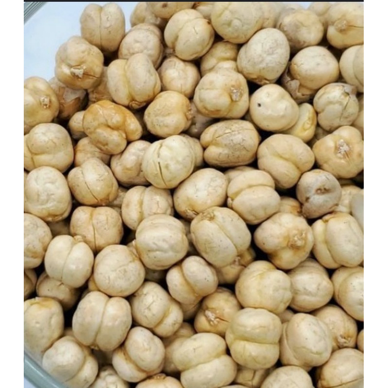 Kacang Kuda Chickpea 100g200g300g500g Shopee Malaysia